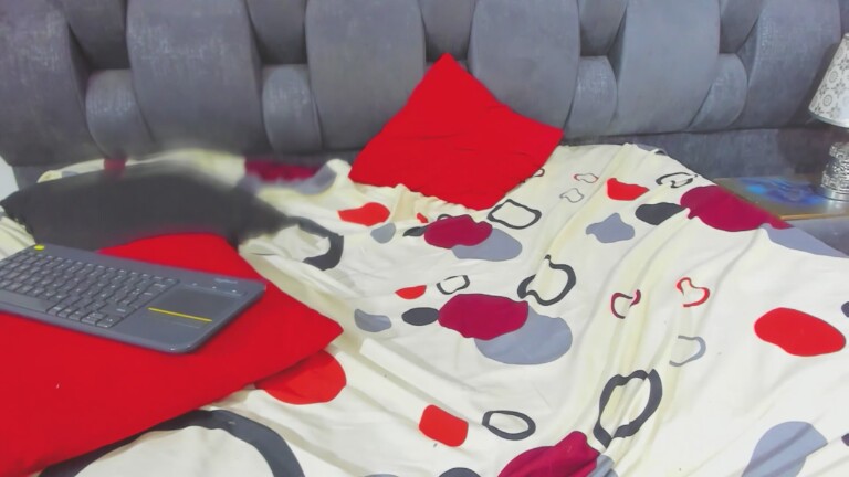 vrositaper's Streamate show and profile